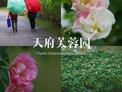 -天府芙蓉园