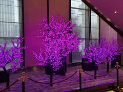 -长沙富力万达文华酒店