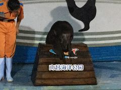 -南昌海洋公园