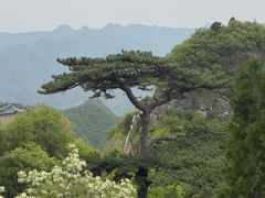 -圣莲山风景区