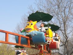 -朝阳公园游乐园