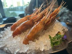 -醉庐·新上海菜(南京西路店)
