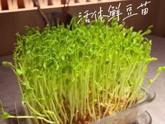 -罗勒家·养生火锅· Bistro(大望路店)