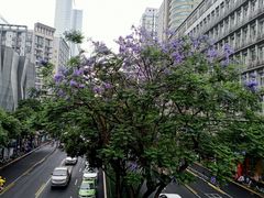 -青石桥老瓦房肥肠粉总店(青石桥总店)