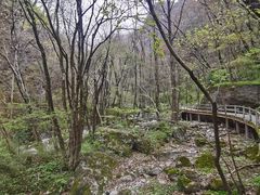 -牛背梁国家森林公园