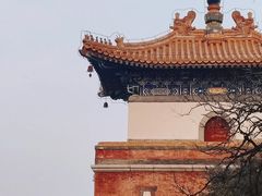 -颐和园