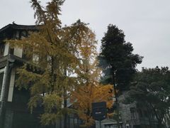 -叶婆婆豆浆馍馍