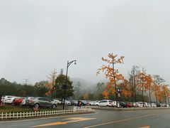 -青城山