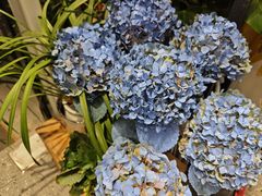 -FEI FEI FLOWER鲜花店·气球派对·宝宝宴布置(虹口德必运动Loft店)