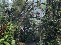 -东莞植物园