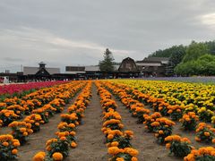 -富田农场