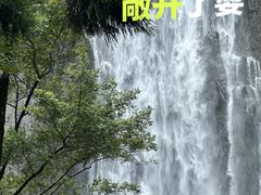 -刘伯温故里景区百丈漈