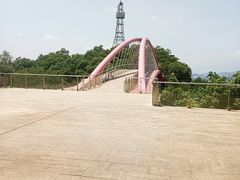 -金鸡山公园