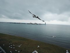-青海湖二郎剑景区