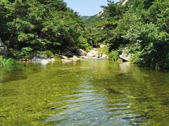 -无染寺