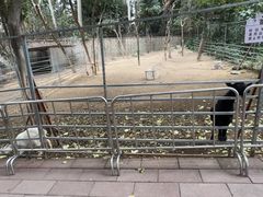 -厦门悦华酒店