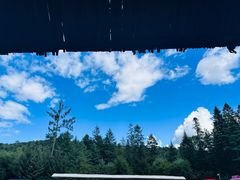 -五营红松林海景区