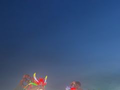 -洋湖国家湿地公园