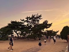 -老虎石海上公园