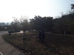 -浮山香苑