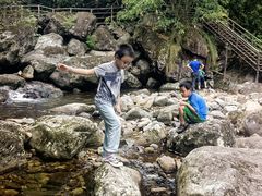 -东天目山风景区
