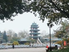 -桂湖森林公园