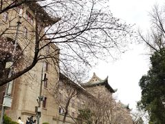-武汉大学-樱园