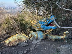 -紫金山山顶公园