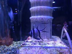 -海合安天津极地海洋公园