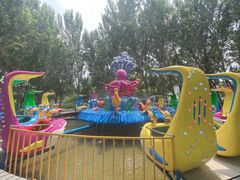 -长白岛森林公园