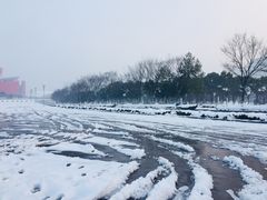 -南京奥林匹克体育中心-体育馆