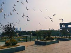 -山海广场