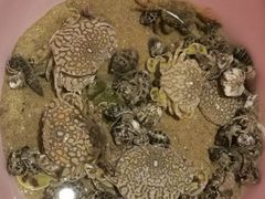 -青岛银沙滩