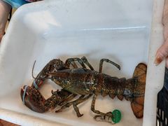 -鱼乐轩·俄罗斯海鲜直供餐厅(群力店)