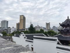 -知亘茶食
