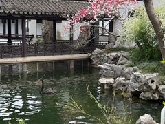 -无锡蠡湖国家湿地公园-蠡园