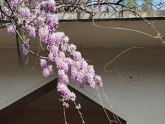 -郑和公园