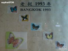 -上海昆虫博物馆