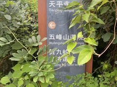 -灵岩山风景区