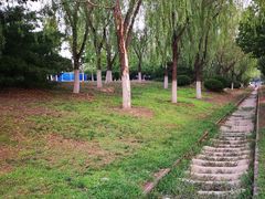 -永定河休闲森林公园