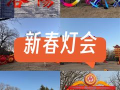 -洛阳市隋唐城遗址植物园