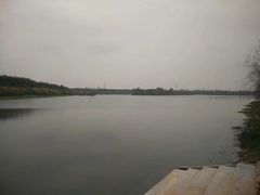 -横沥牛庄(总店)