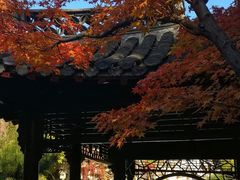 -何园