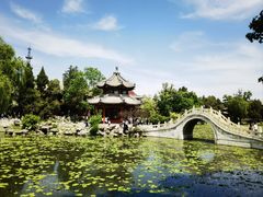 -莲池书院博物馆