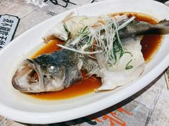 清蒸鲈鱼-丹枫白露酒店·Q Cafe餐厅