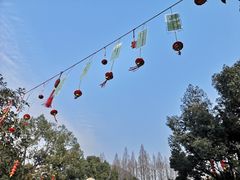 -杭州少年儿童公园