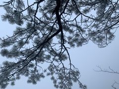 -萍乡武功山风景名胜区