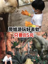 -宝燕乐园(闵行旗舰店)