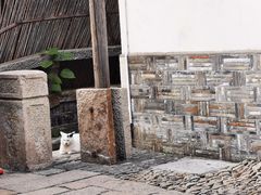 -老门东历史文化街区