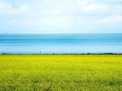 -青海湖国家重点风景名胜区